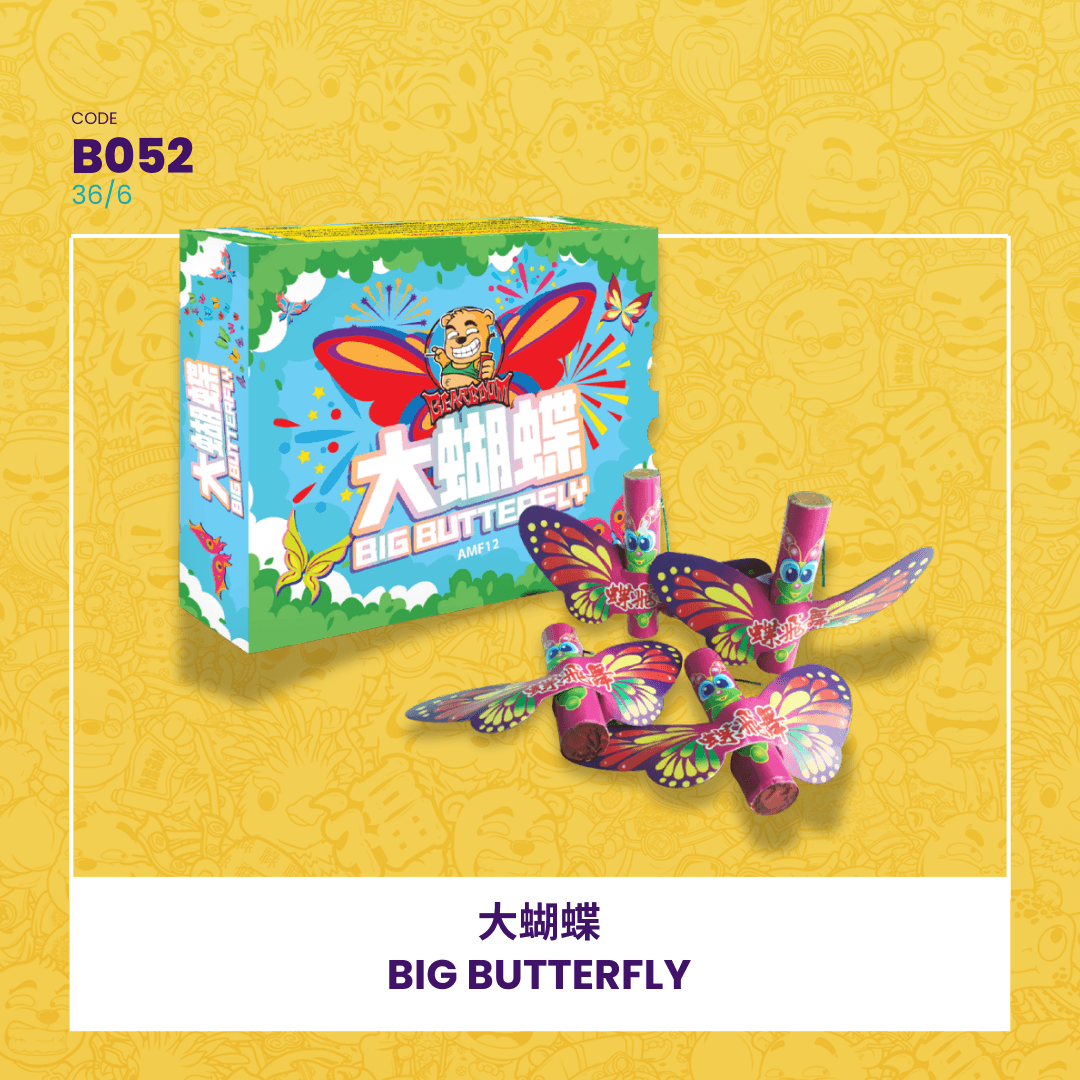 ✈️BIG BUTTERFLY